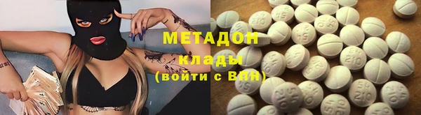 гашик Алексин