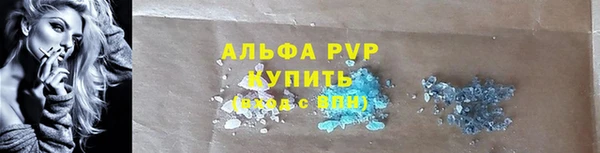 твердый Новозыбков