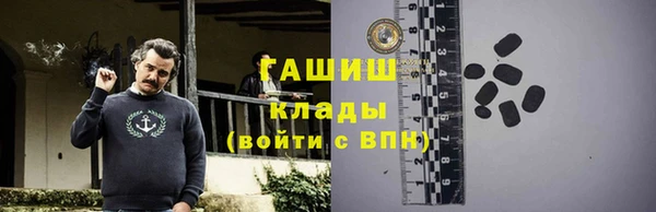 гашик Алексин