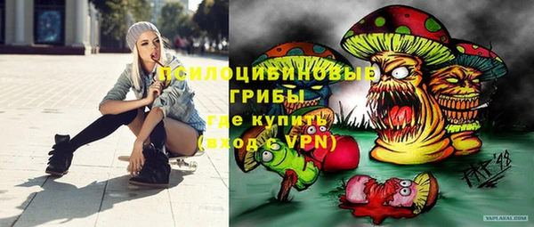 дмт Абаза