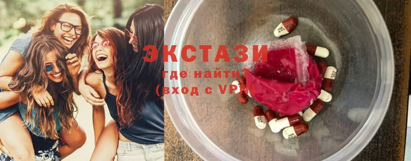 гашик Алексин