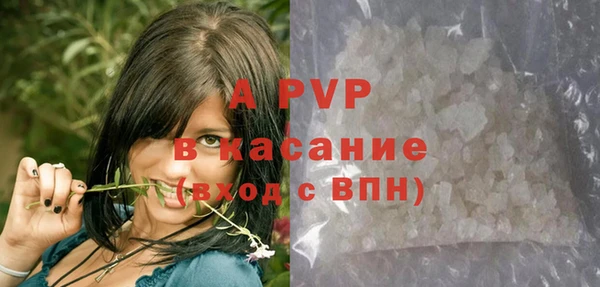 гашик Алексин