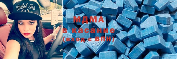 гашик Алексин