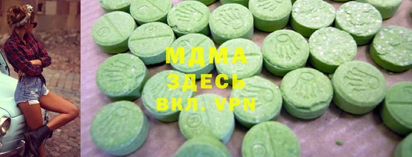 гашик Алексин